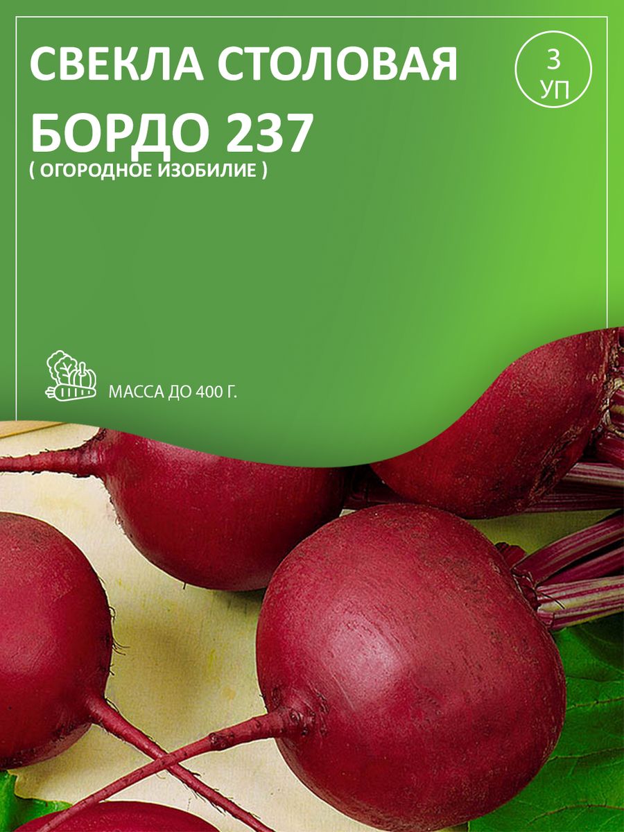 Свекла бордо 237 фото. Свекла сорт «бордо 237». Свекла столовая бордо 237. Сорт свеклы бордо. Свекла бордо новинка.