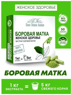 Витамины боровая матка трава