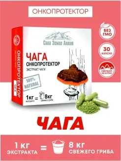 Чага березовая натуральная витамины для иммунитета