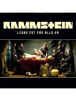 Виниловая пластинка - Rammstein - Liebe Ist Fuer Alle Da [Vi…