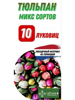 Тюльпан Луковица, Микс сортов, 10шт