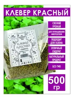 Клевер Красный семена для проращивания, 500 гр газон