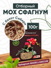 Мох сфагнум Magellanicum L бренд SPHAGNUM ECO продавец Продавец № 97251