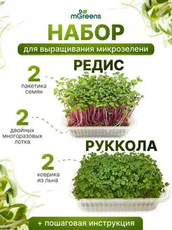 Микрозелень набор для выращивания Руккола+Редис суперфуд