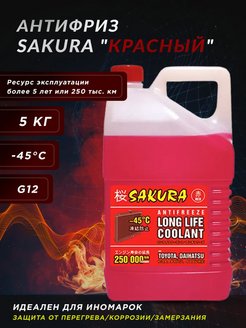 Sakura - каталог 2021-2022 в интернет магазине WildBerries.ru