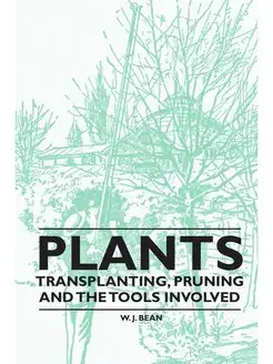 Plants - Transplanting, Pruning and t