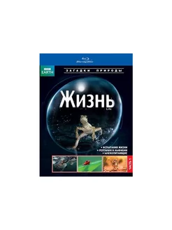 BBC Жизнь. Часть 1 (Blu-ray)