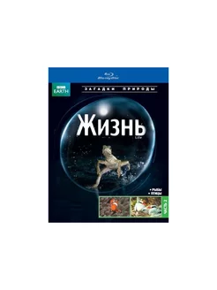 BBC Жизнь. Часть 2 (Blu-ray)