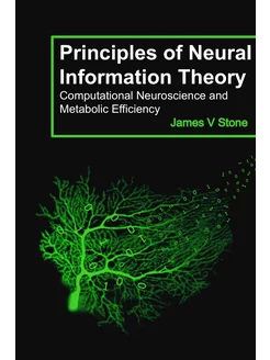 Principles of Neural Information Theo