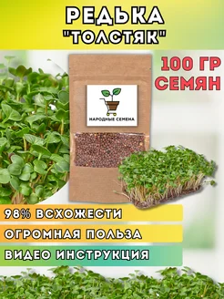 Семена редьки для проращивания микрозелени