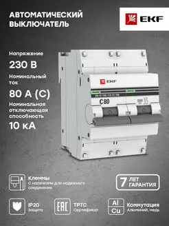 Автоматический выключатель 2P 80А (C) 10kA ВА 47-100