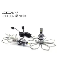 Светодиодные лампы D26 PRO цоколь H7 5000k