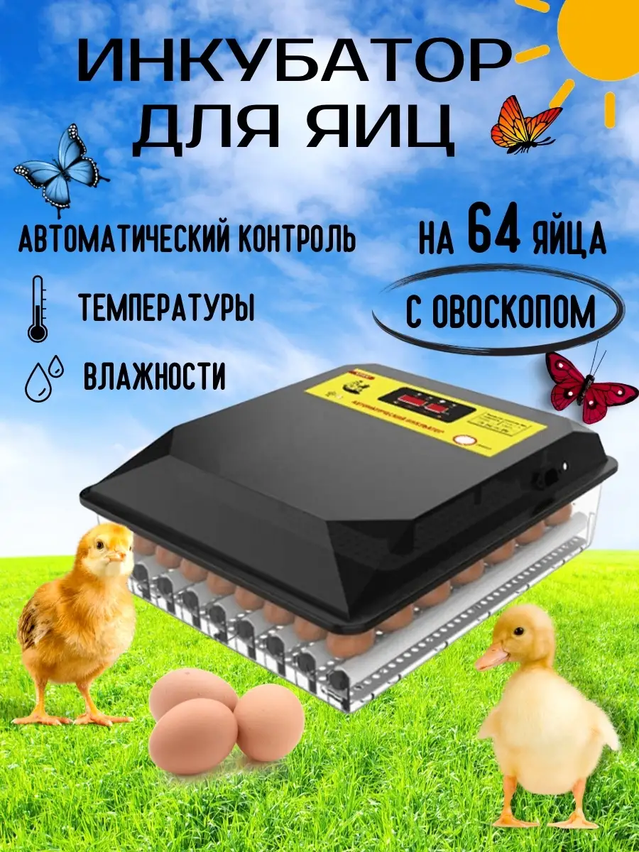 Как сделать инкубатор своими руками: требования и способы сборки аппарата