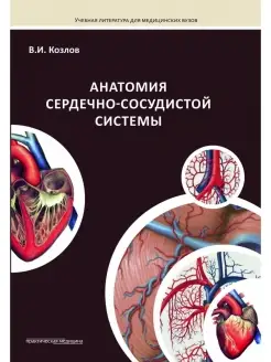 Анатомия сердечно-сосудистой системы. Учебное пособие для ст