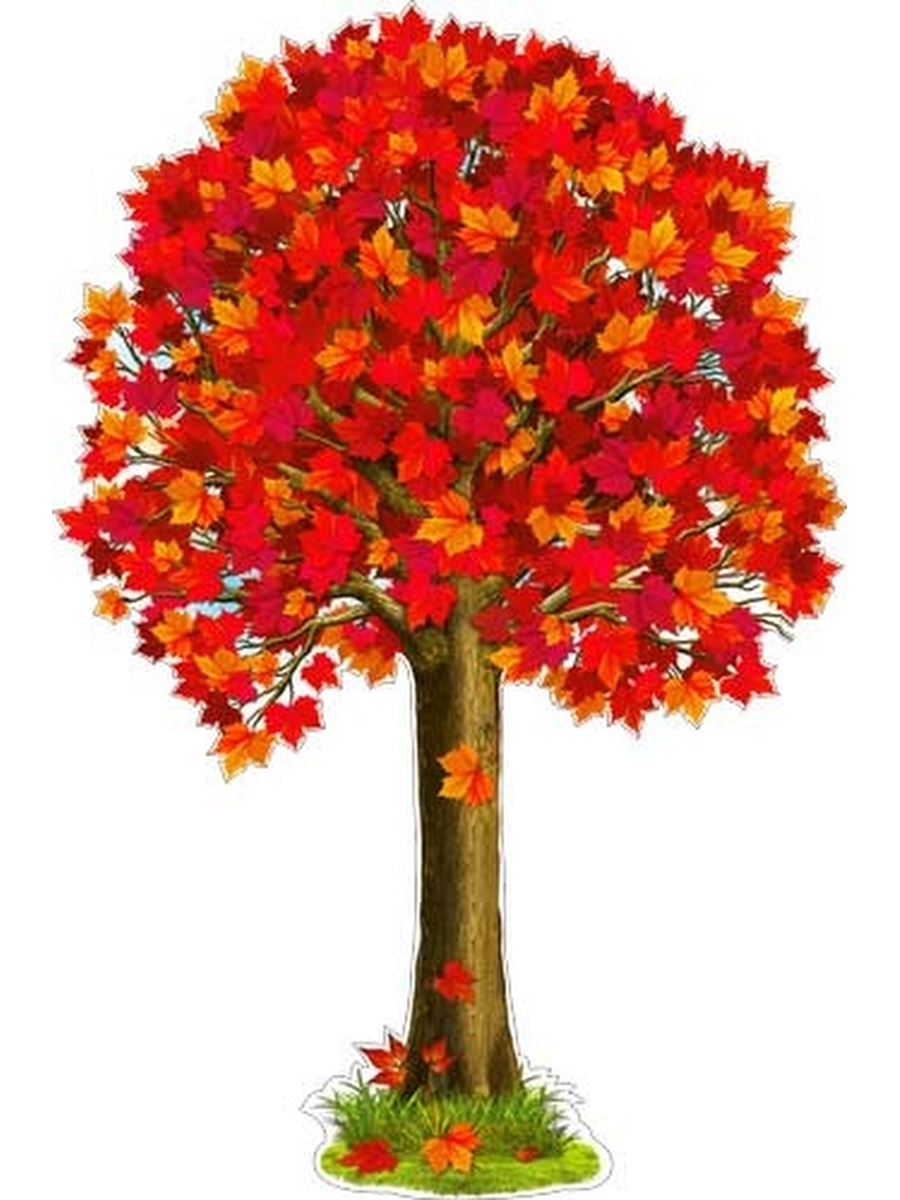 Деревья осенью для детей