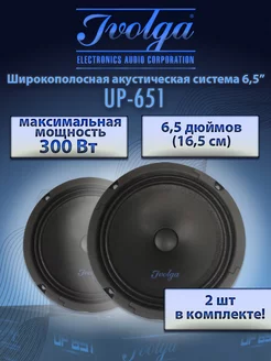 Автомобильные колонки широкополосные UP-651