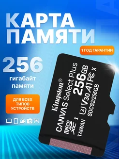 Карта памяти MicroSDXC 256GB Class 10 A1 без адаптера