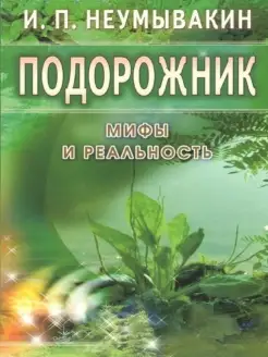 Подорожник. Мифы и реальность