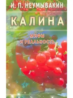 Калина Мифы и реальность