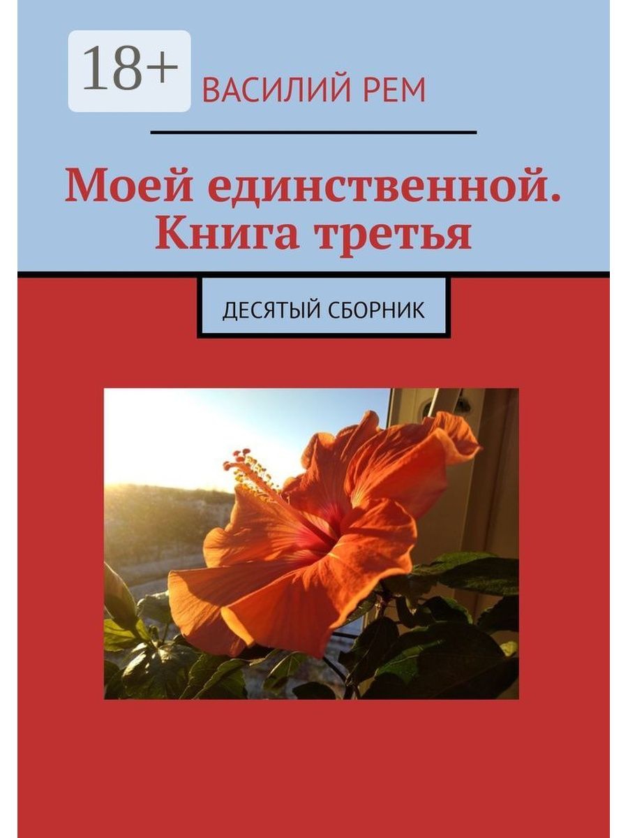 Книга единственный. Моя единственная книга. Единственный книга. Мой единственный. Моя вторая жизнь книга.