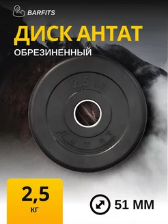 Диск для штанги Антат обрезиненный 2,5 кг диаметр 51 мм