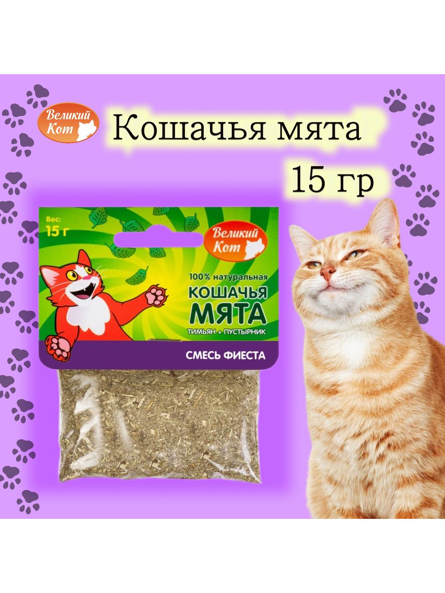 Мята для кошек. Кошачья мята смесь 