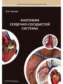 Анатомия сердечно-сосудистой системы Учебное пособие для сту…