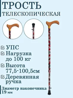 Трость телескопическая с УПС, деревянной ручкой ТР1(01)