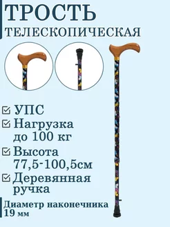 Трость телескопическая с УПС, деревянной ручкой ТР1(01)