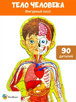 Фигурный пазл - головоломка Строение тела человека, анатомия