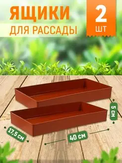 Пластиковые ящики для рассады цветов растений сад дача