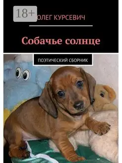 Собачье солнце