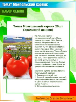 Томаты монгольский карлик схема посадки