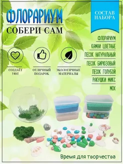 Флорариум в коробке "Собери сам"