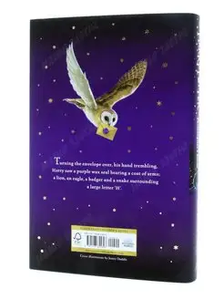 Harry Potter Philosopher's Stone book 1