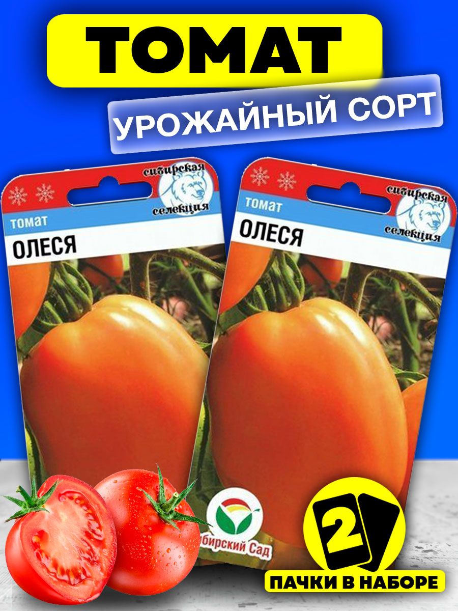 сорт томатов олеся отзывы фото