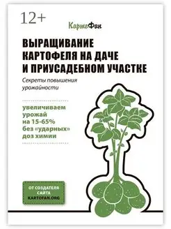 Выращивание картофеля на даче и приусадебном участке