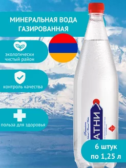 Вода минеральная газ. 1,25л. пл бут.(6 шт)