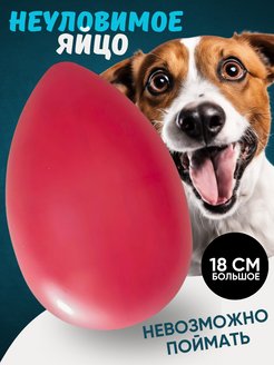 игрушка для собак неуловимое яйцо Антицарапки 38820009 купить за 336 ₽ в интернет-магазине Wildberries