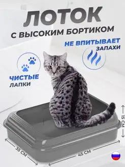 Лоток для кошек с бортом