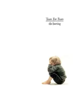 TEARS FOR FEARS "HURTING"