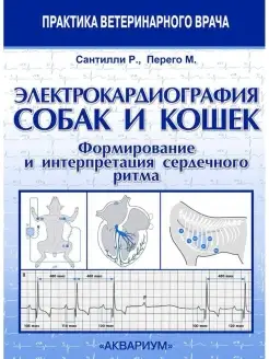 Электрокардиография собак и кошек