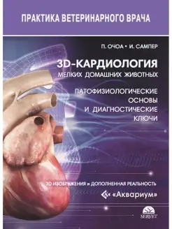 3D-Кардиология мелких домашних животных