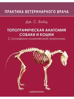 Топографическая анатомия собаки и кошки