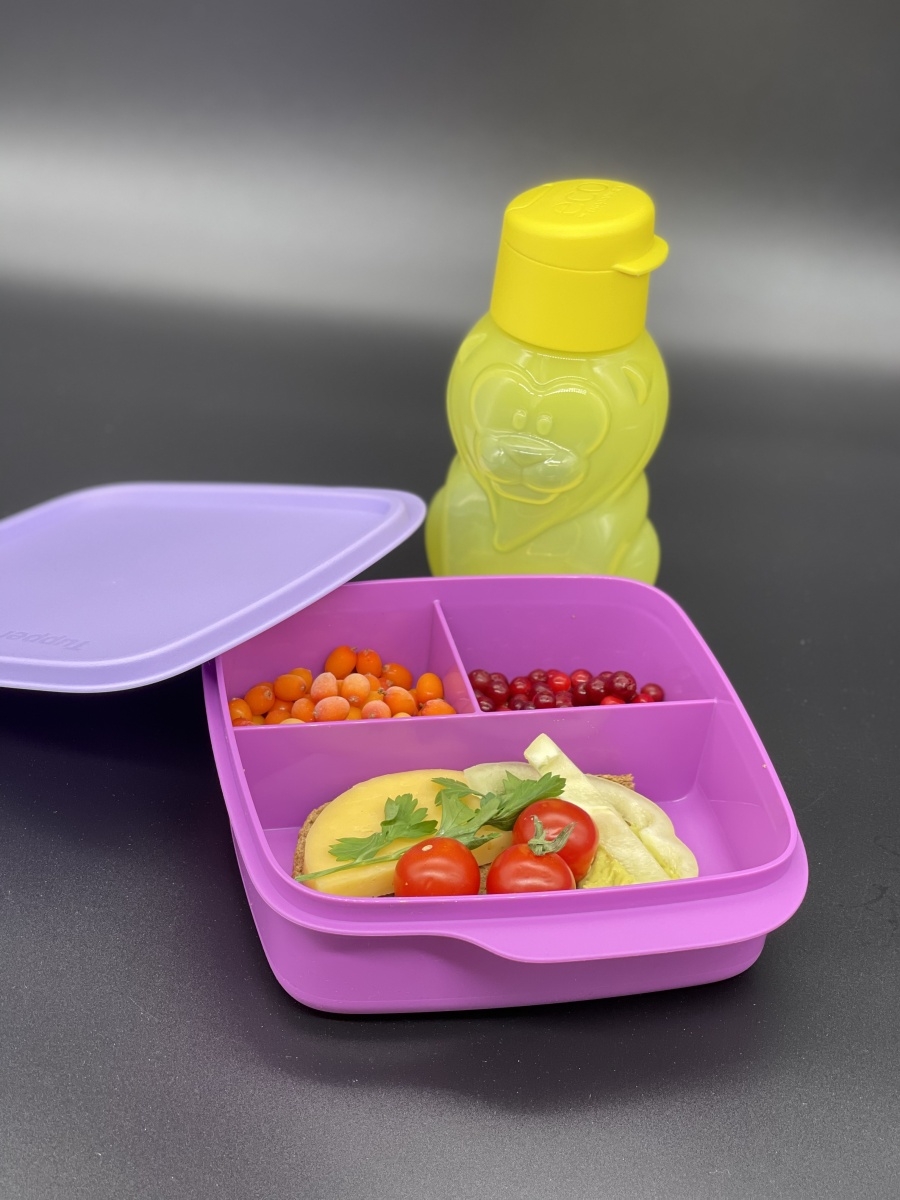 Ланч бокс tupperware. Ланч бокс тапперваре. Ланч бокс школьник Tupperware. Tupperware ланч бокс 550 мл. Tupperware ланч-бокс с разделителем школьник.