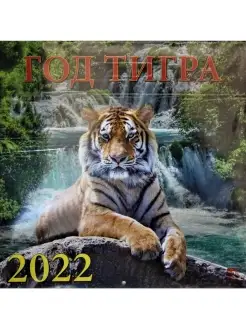 Календарь на 2022 год Год Тигра