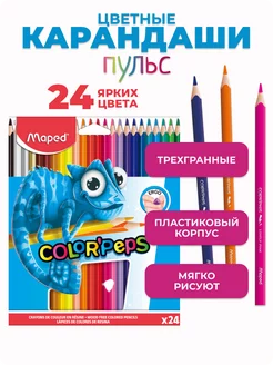 Карандаши цветные ColorPeps Pulse, 24 цвета