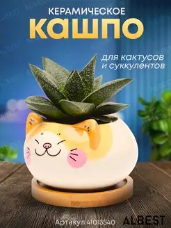 Кашпо для кактуса и суккулентов