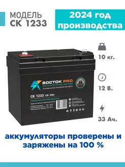 Аккумулятор CK 1233 12v 33Ah