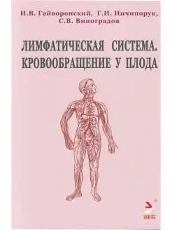 Лимфатическая ситема. Кровообращение у плода